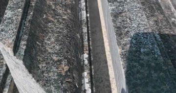 湖州英国棕别墅线条